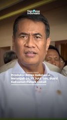 Produksi Beras Indonesia Melonjak 34,77 Juta Ton, Bukti Kekuatan Petani Lokal!