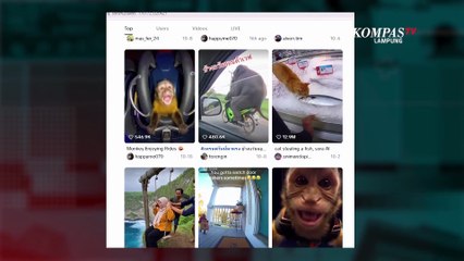 Di Balik Maraknya Video Sora AI