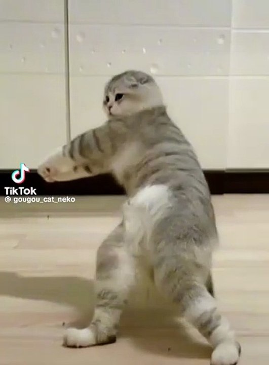 Tock tick tock tick tock a good time to get home and get some rest today and watch the same