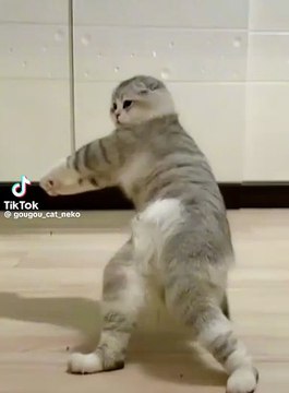 Tock tick tock tick tock a good time to get home and get some rest today and watch the same