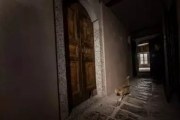 Özenin mimariye yansıması: Topkapı Sarayı’nın “kedi kapısı” yeniden hayat buldu!