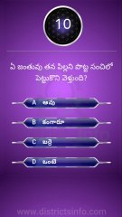 GK Questions in Telugu|| General Knowledge. Questions Telugu || Interesting Questions Telugu#gkquiz #gk #generalknowledge #gkquestion #gkchallenge #generalknowledgequestions #techgrowtelugu #telugugk #teluguquiz #compitativeexams #gktricks