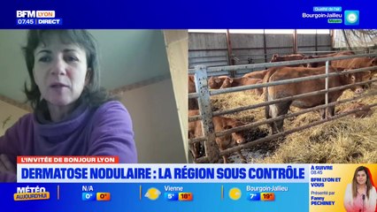 L'invitée de Bonjour Lyon du mardi 4 novembre 2025 - Élise Michallet