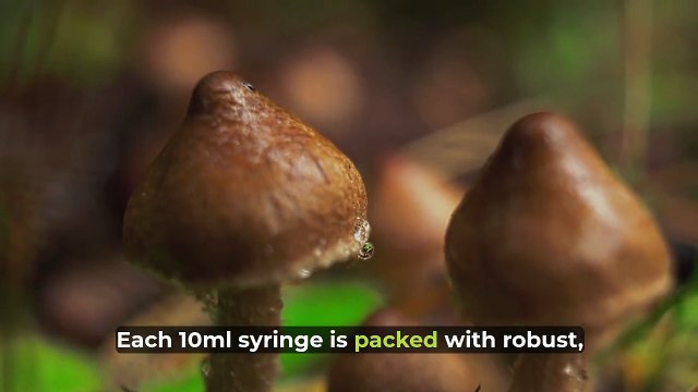 Equador Spore Syringe | Buy Equador Mushroom Spores | Quality Spores