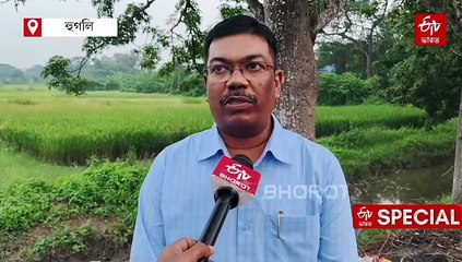 কমবে মধ্যপ্ৰদেশ-গুজরাতের উপর নির্ভরশীলতা, বাংলার মাটিতে শুরু উন্নতমানের রসুন চাষ