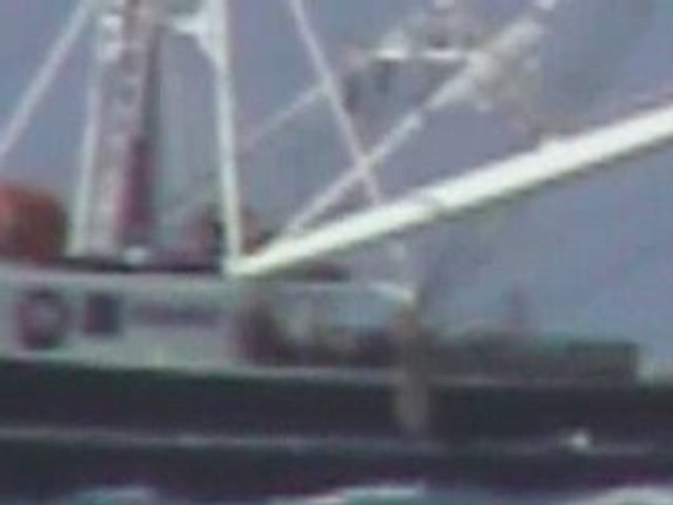 Miami NY 014