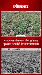 नाशिकच्या येवला भागात उभं पिक आडवं झालं