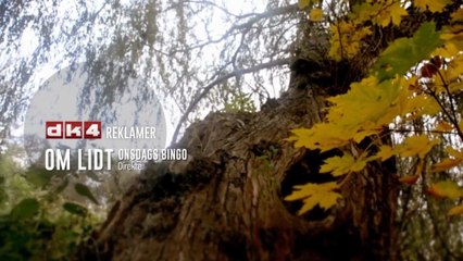 dk4 | TV - VI SER SAMMEN | Sendt den 29 Oktober 2025 på DK4