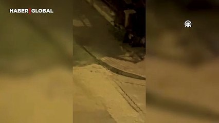 Şanlıurfa'da şehir merkezinde görenler telefona sarıldı!