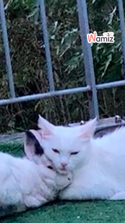 Yuki y Mikey