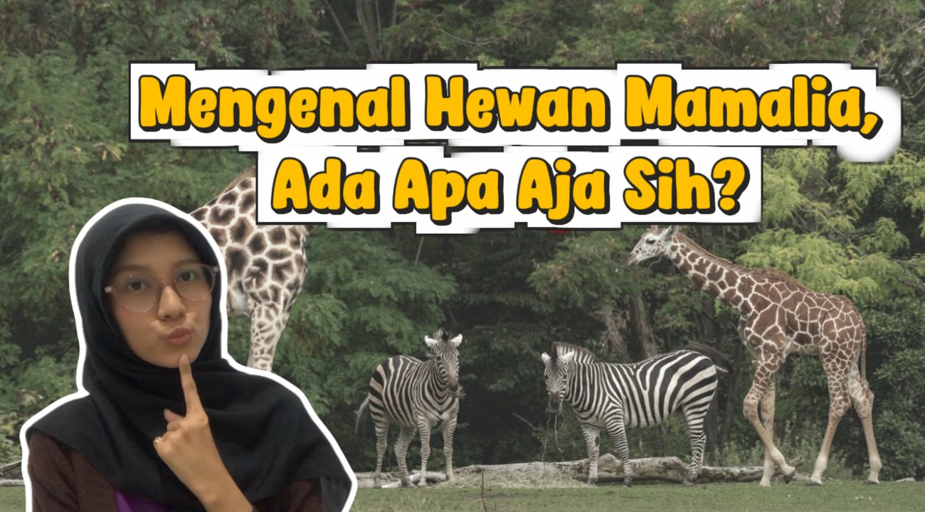 Mengenal Hewan Mamalia, Ada Apa Aja Sih?-Serius Ini Hewan?