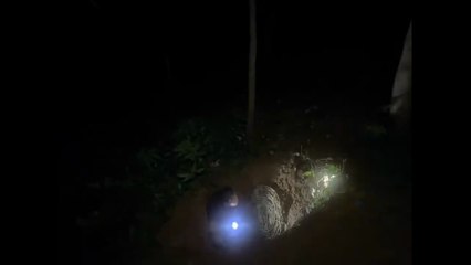 Female Stuck in the middle of the jungle at Night💀Part1