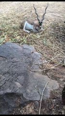 Do you also love nature in the same way?