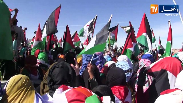 المخزن يغرق في أمواج الدعاية المغلوطة.. ترويج لانتصار كاذب وبث للانحرافات