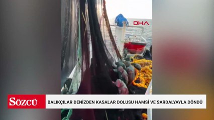 Tekirdağ’da balıkçılar denizden kasalar dolusu hamsi ve sardalyayla döndü