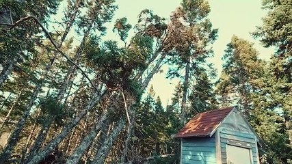 Northwoods Survival 1e01