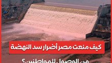 كيف منعت مصر أضرار سد النهضة من الوصول للمواطنين؟