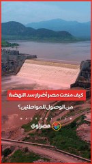 كيف منعت مصر أضرار سد النهضة من الوصول للمواطنين؟