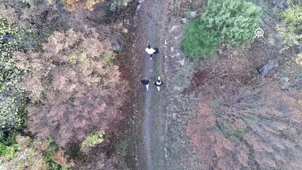 Milyon yıllık bazalt kayalıkları ziyaretçileri ağırlıyor