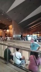 لحظات تاريخية.. أول بث مباشر من قاعة توت عنخ آمون في المتحف المصري الكبير (آثار تعرض لأول مرة)