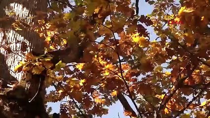 Burası Türkiye'nin yasaklı cenneti: İzinsiz girene yarım milyon TL ceza kesiliyor!