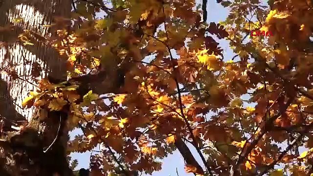 Burası Türkiye'nin yasaklı cenneti: İzinsiz girene yarım milyon TL ceza kesiliyor!