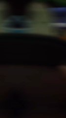 Toujours et encore sur #Pokemon Légendes za ! #gaming #stream #live #twitch