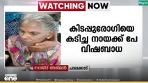 വടക്കഞ്ചേരിയിൽ കിടപ്പുരോഗിയായ വീട്ടമ്മയെ കടിച്ച തെരുവ് നായക്ക് പേ വിഷബാധ