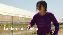 La tierra de Amira - Trailer