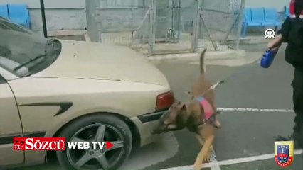 Kayseri'de uyuşturucu operasyonunda 3 zanlı yakalandı