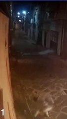 Intimidazione associazione Don Bosco 2000 di Pietraperzia