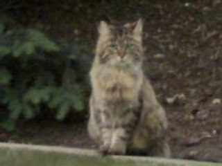 parc des juilliottes de maisons-alfort
