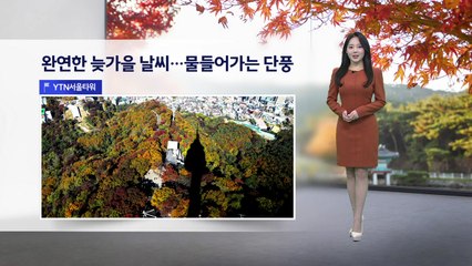 [이슈 날씨] 완연한 늦가을 날씨...물들어가는 단풍, 내일도 낮동안 온화...일교차 유의 / YTN