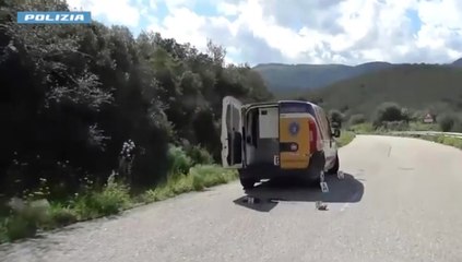 Assalti a portavalori, 6 arresti: banda aveva piani per nuovi colpi (04.11.25)