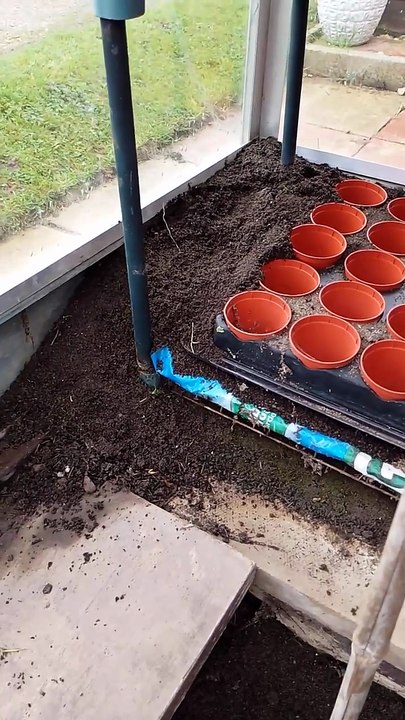Ants must have earth moving equipment on my allotment
