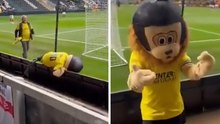 Mascotte ubriaca prima della partita: caos allo stadio e il video diventa virale