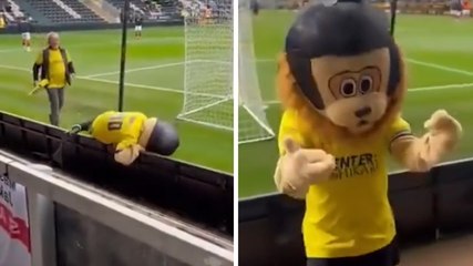 Mascotte ubriaca prima della partita: caos allo stadio e il video diventa virale
