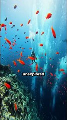 5 mind blowing ocean facts #facts #shorts #amazingfacts #ocean