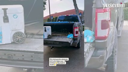 Amerika'da yaşayan Ceyda Ateş'in sitesinde başıboş gezen timsah yakalandı!