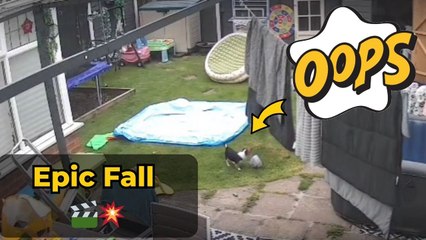 Playful puppy discovers curiosity can be tricky after ending up stuck in a pot