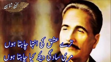 Best ghazal Tere Ishq ki intaha chahta hu  | Allama Muhammad iqbal