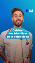 Des friandises maison pour son chien - les conseils du véto