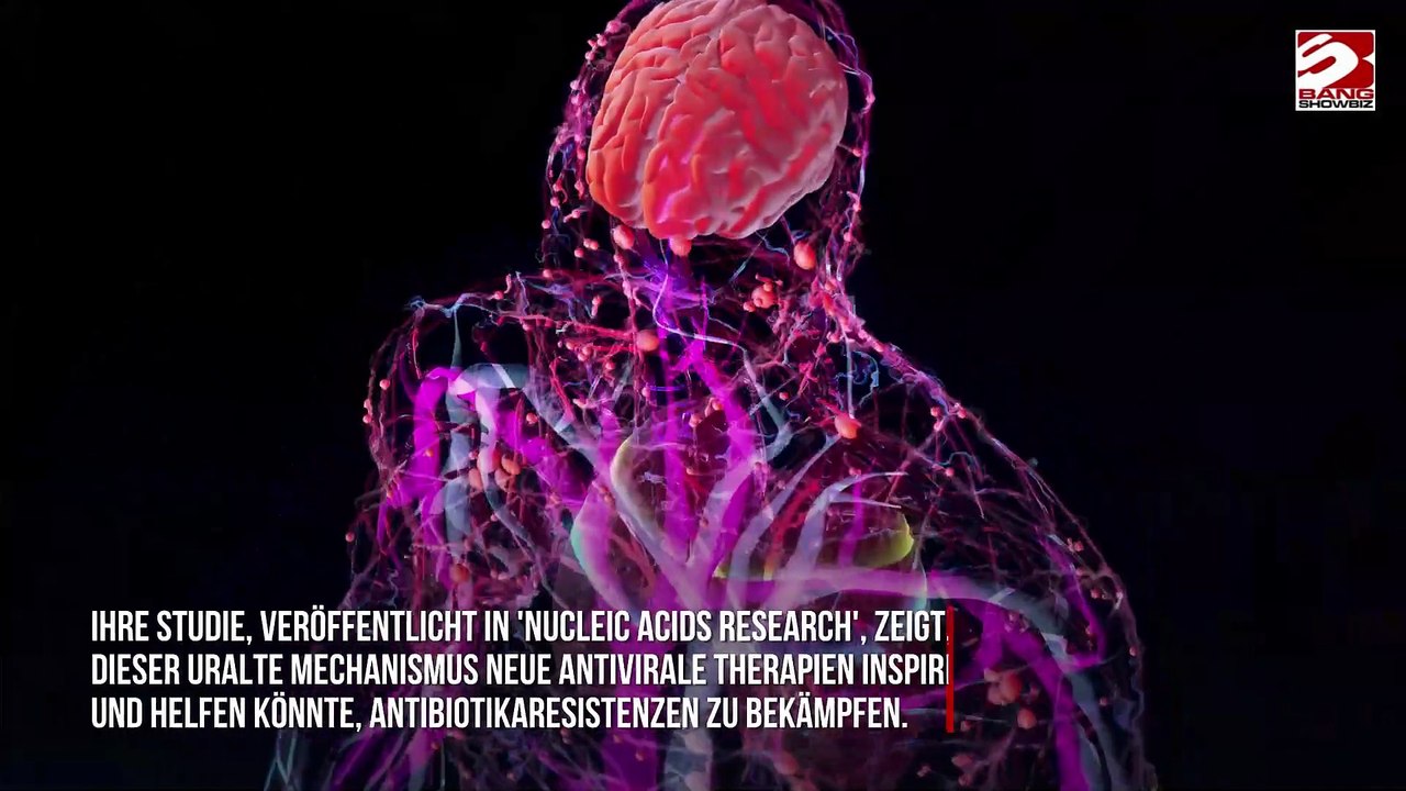 Wissenschaftler entdecken uralte Bakterien, die moderne Viren stoppen könnten