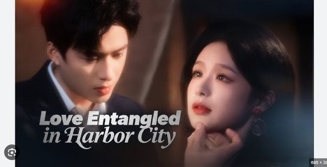 Love Entangled in Harbor City Chinese Drama - English Sub