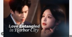 Love Entangled in Harbor City Chinese Drama - English Sub