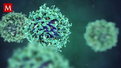 UAQ y UNAM desarrollan la primera pastilla anticonceptiva no hormonal y reversible para hombres