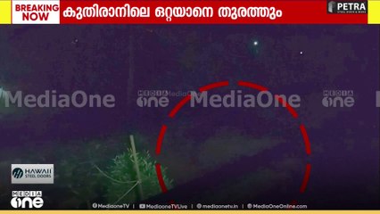 കുതിരാനിൽ ഇറങ്ങിയ ഒറ്റയാനെ തുരത്താൻ അടിയന്തര ദൗത്യവുമായി വനംവകുപ്പ്; കുങ്കിയാനകളെ എത്തിച്ചു