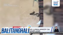 Sawa, namataang lumalangoy sa baha sa purok Maryland | Balitanghali