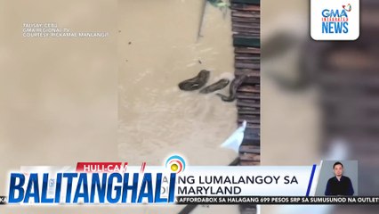 Sawa, namataang lumalangoy sa baha sa purok Maryland | Balitanghali