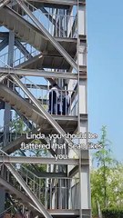 Forbidden Yet Forever Mine Dramabox